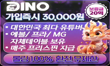 카지노사이트 다이노카지노